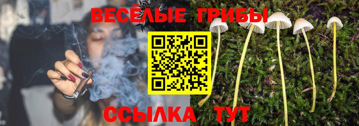 Псилоцибиновые грибы мухоморы Первоуральск